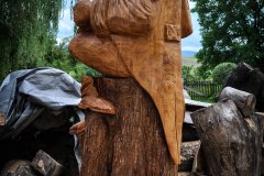 drevorezba-vyrezavani-carving-wood-drevo-socha-vodnik_2m-radekzdrazil-20210826-012