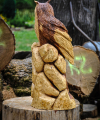 drevorezba-carving-wood-drevo-vyrvelky-bubo-jablon-radekzdrazil-04