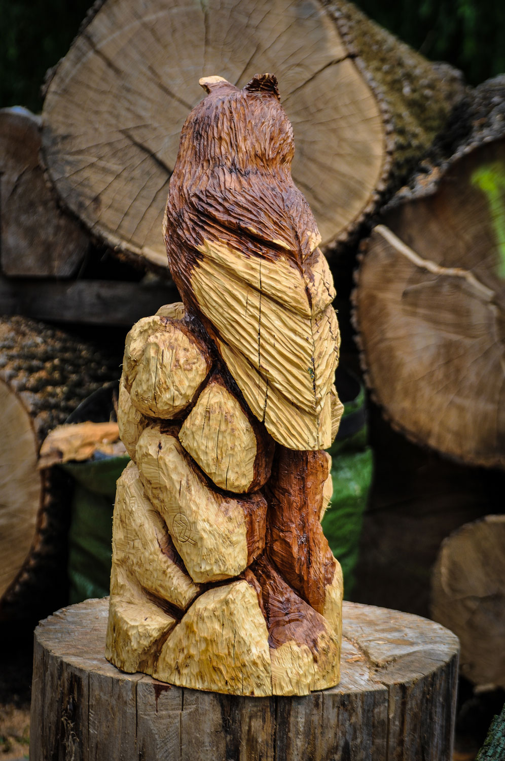 drevorezba-carving-wood-drevo-vyrvelky-bubo-jablon-radekzdrazil-05