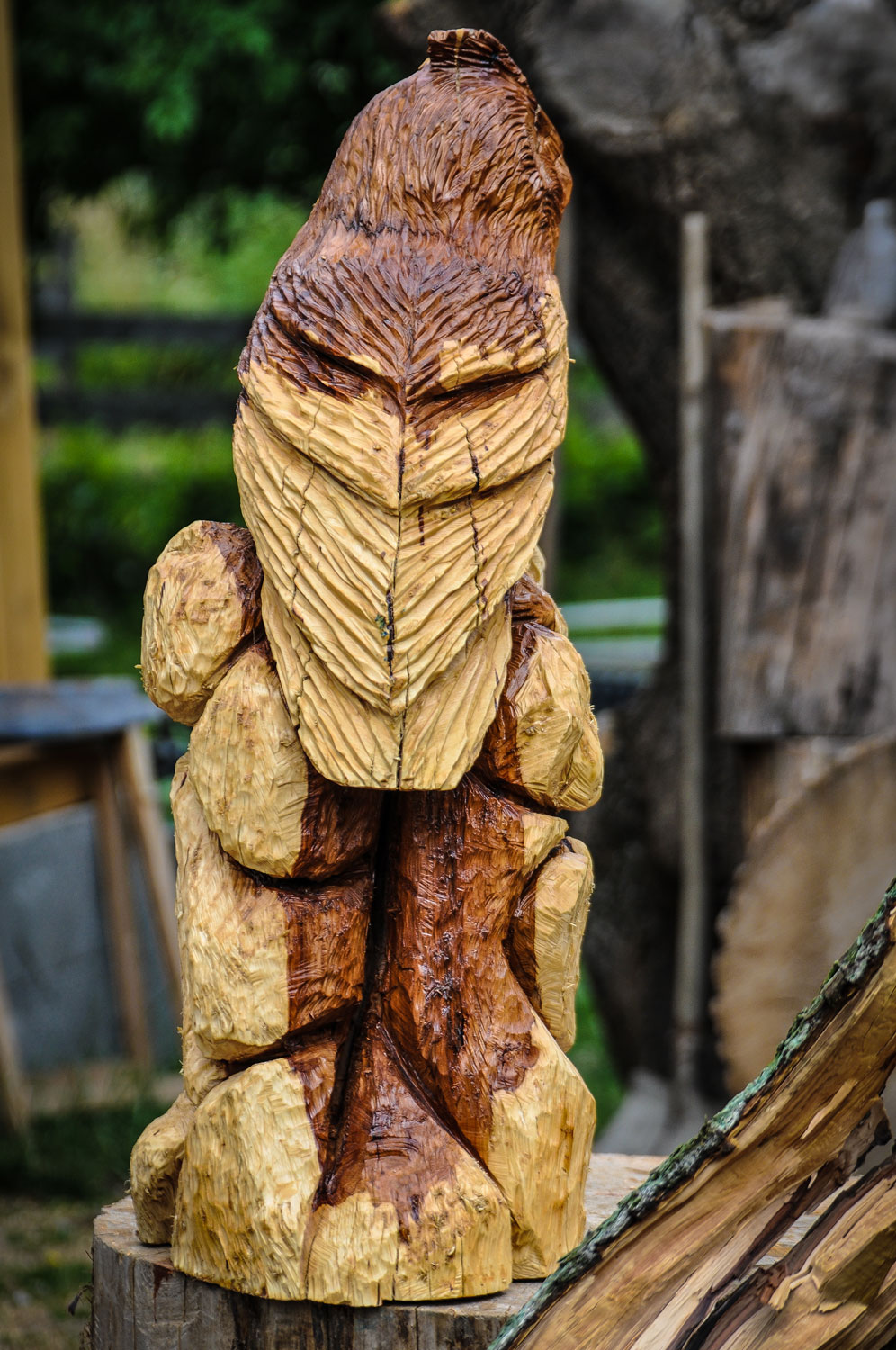 drevorezba-carving-wood-drevo-vyrvelky-bubo-jablon-radekzdrazil-06
