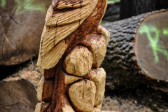 drevorezba-carving-wood-drevo-vyrvelky-bubo-jablon-radekzdrazil-01