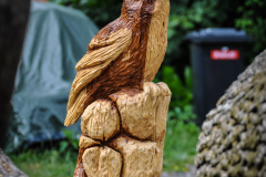 drevorezba-carving-wood-drevo-vyrvelky-bubo-jablon-radekzdrazil-012