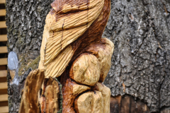 drevorezba-carving-wood-drevo-vyrvelky-bubo-jablon-radekzdrazil-013