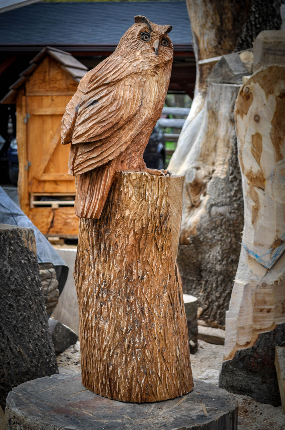 rezbar-drevorezba-vyrezavani-carving-wood-drevo-socha-bysta-vyr-120cm-radekzdrazil-20210425-09
