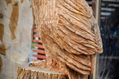 rezbar-drevorezba-vyrezavani-carving-wood-drevo-socha-bysta-vyr-120cm-radekzdrazil-20210425-011