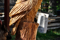 rezbar-drevorezba-vyrezavani-carving-wood-drevo-socha-bysta-vyr-90cm-radekzdrazil-20210505-03