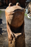 drevorezba-vyrezavani-carving-wood-drevo-socha-zaba-radekzdrazil-20210410-06