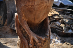 drevorezba-vyrezavani-carving-wood-drevo-socha-zaba-radekzdrazil-20210410-01