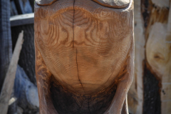 drevorezba-vyrezavani-carving-wood-drevo-socha-zaba-radekzdrazil-20210410-03