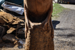 drevorezba-vyrezavani-carving-wood-drevo-socha-zaba-radekzdrazil-20210410-04